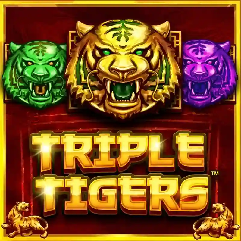 Triple Tigers slot game